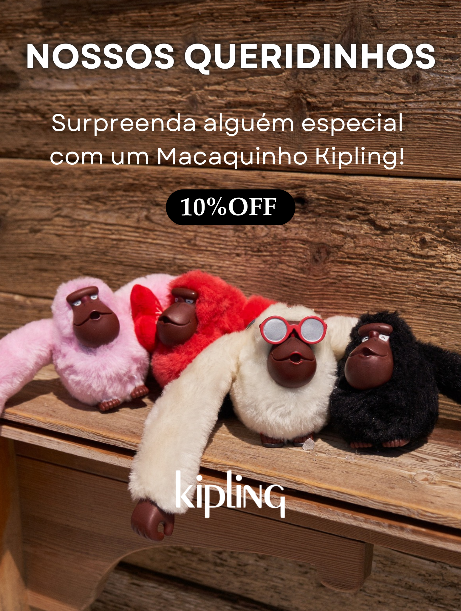 BagsZone